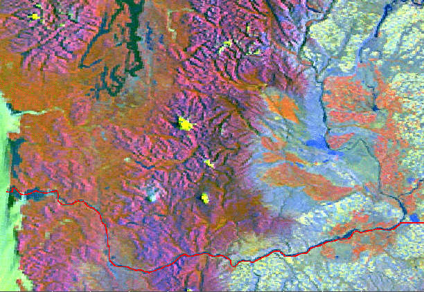 Satellite Image: Washington State Vegitation